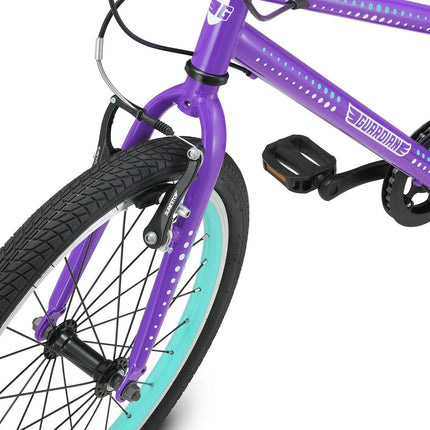 20 Inch Large Bike