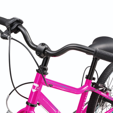 20 Inch Large Bike