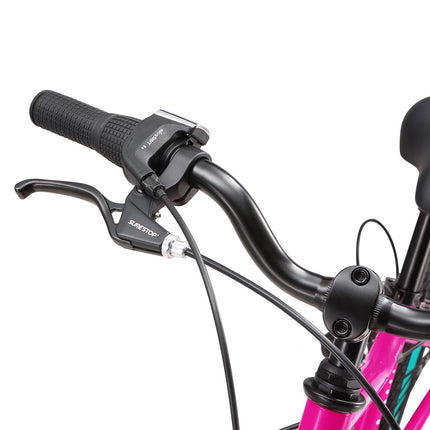 20 Inch Large Bike