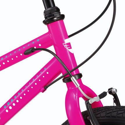 20 Inch Large Bike