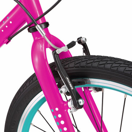 20 Inch Large Bike