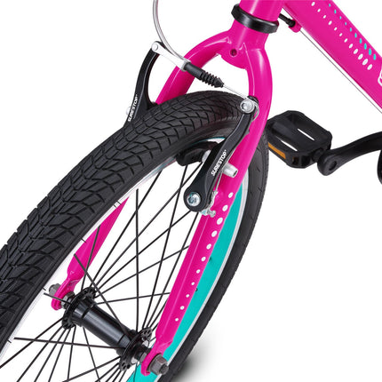 20 Inch Large Bike