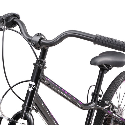 24 Inch Bike