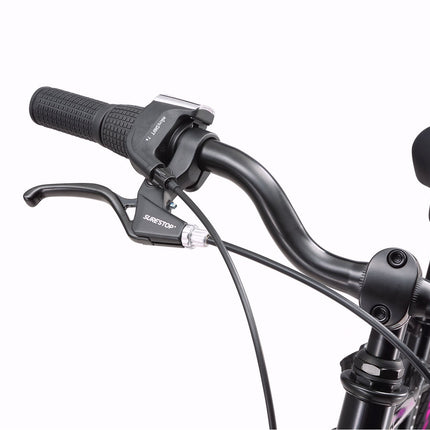 24 Inch Bike
