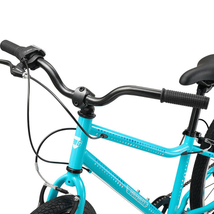 24 Inch Bike
