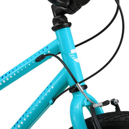 24 Inch Bike
