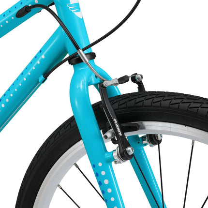24 Inch Bike