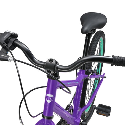 24 Inch Bike