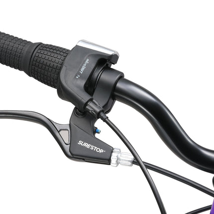 24 Inch Bike