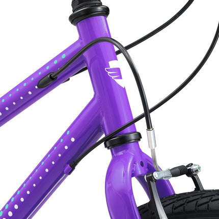 24 Inch Bike