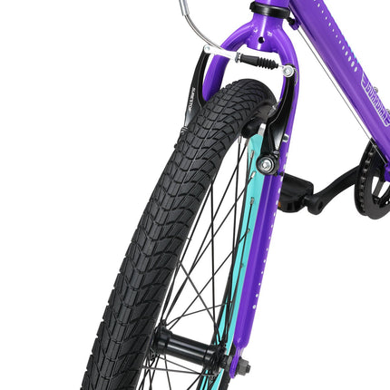 24 Inch Bike