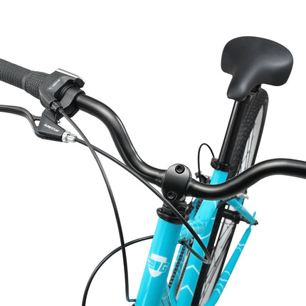 26 Inch Bike