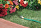 Zinc Flow-Through Spike Base for 1/2-in. MPT Sprinkler Heads