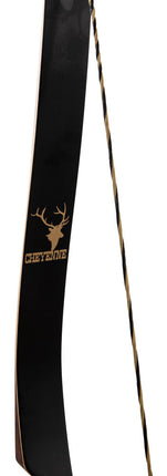 Cheyenne