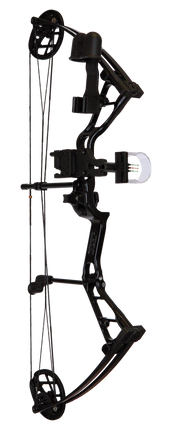 Frontier RTS