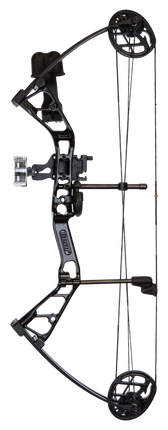Frontier RTS