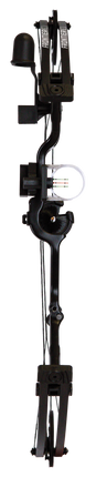 Frontier RTS