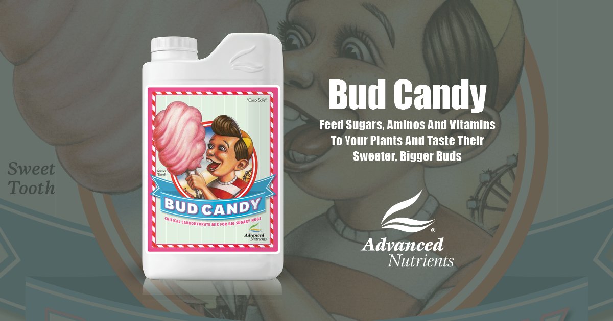 Advanced Nutrients Bud Candy