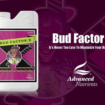 Bud Factor X Advanced