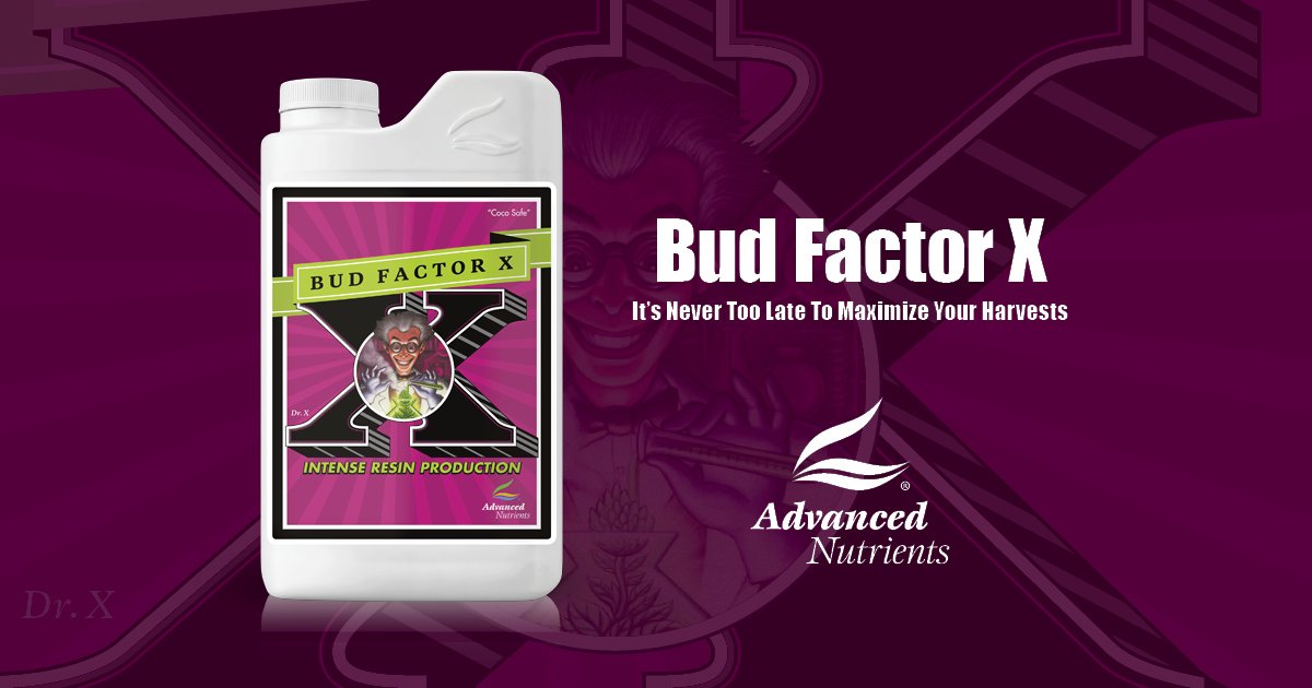 Bud Factor X Advanced