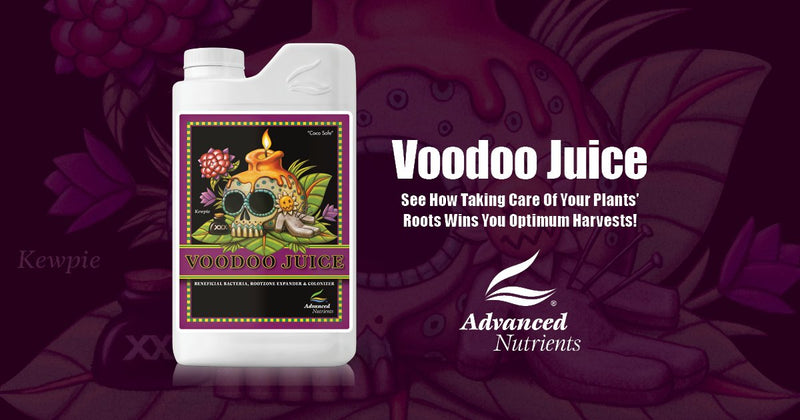Voodoo Juice Root Expander